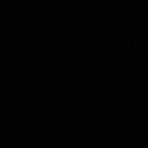 Meet your Posher, Marlon